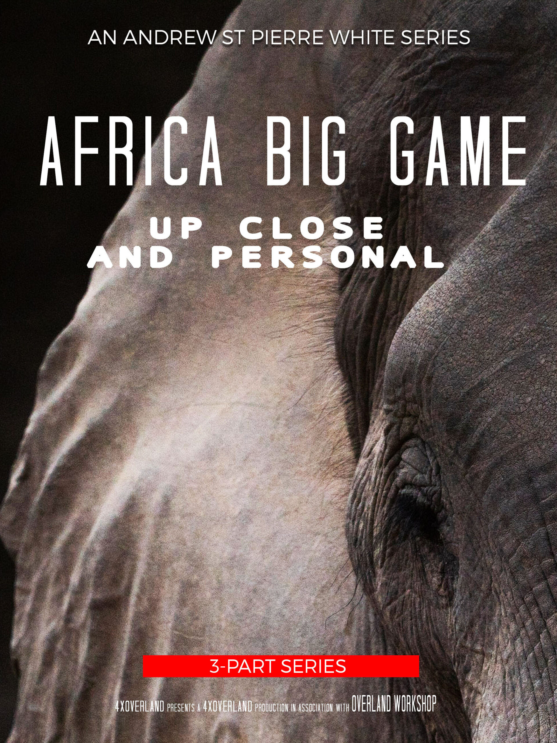 Movie Poster africa big game